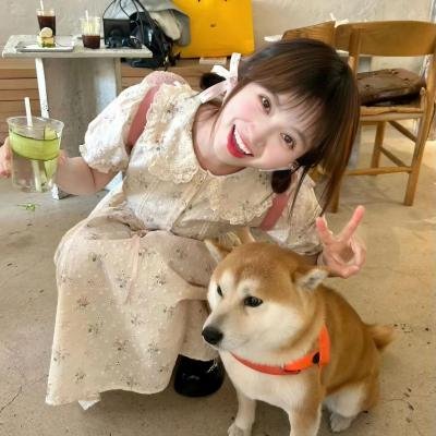 小矮妖的复仇